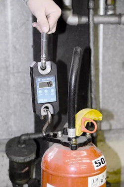 Dynamomètre Handifor, capacité de 200 lb