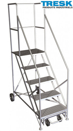 Échelle mobile en acier inoxydable avec angle sécuritaire, 5 marches